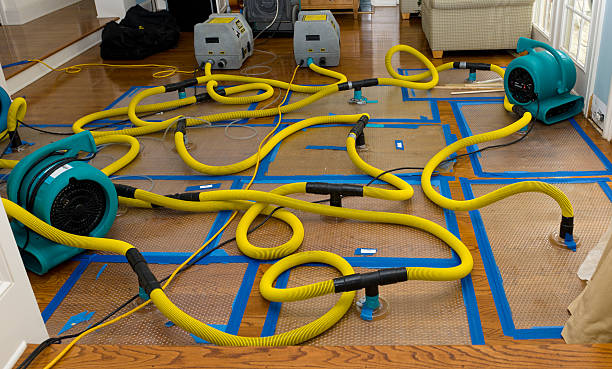 Professional Basement Flood Cleanup technician working in Mountville, PA